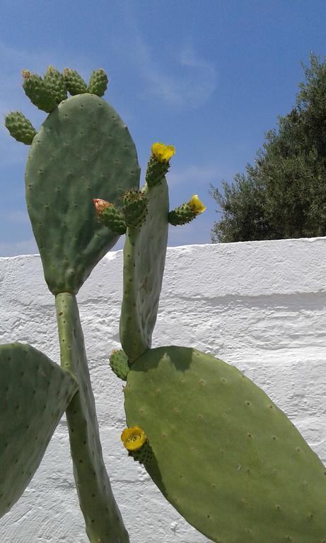 Bed & Breakfast Cupa Fasano
